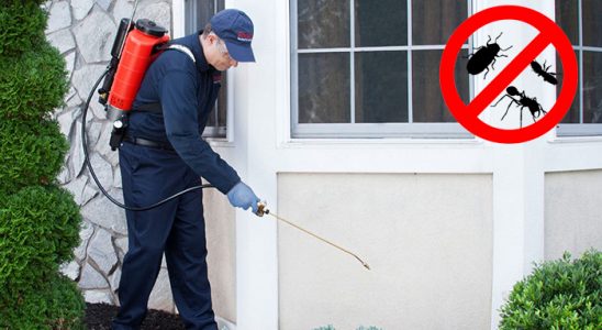 Şemdinli Bit İlaçlama böcek ilaçlama ve haşere kontrolü — ilaclama-tr.com